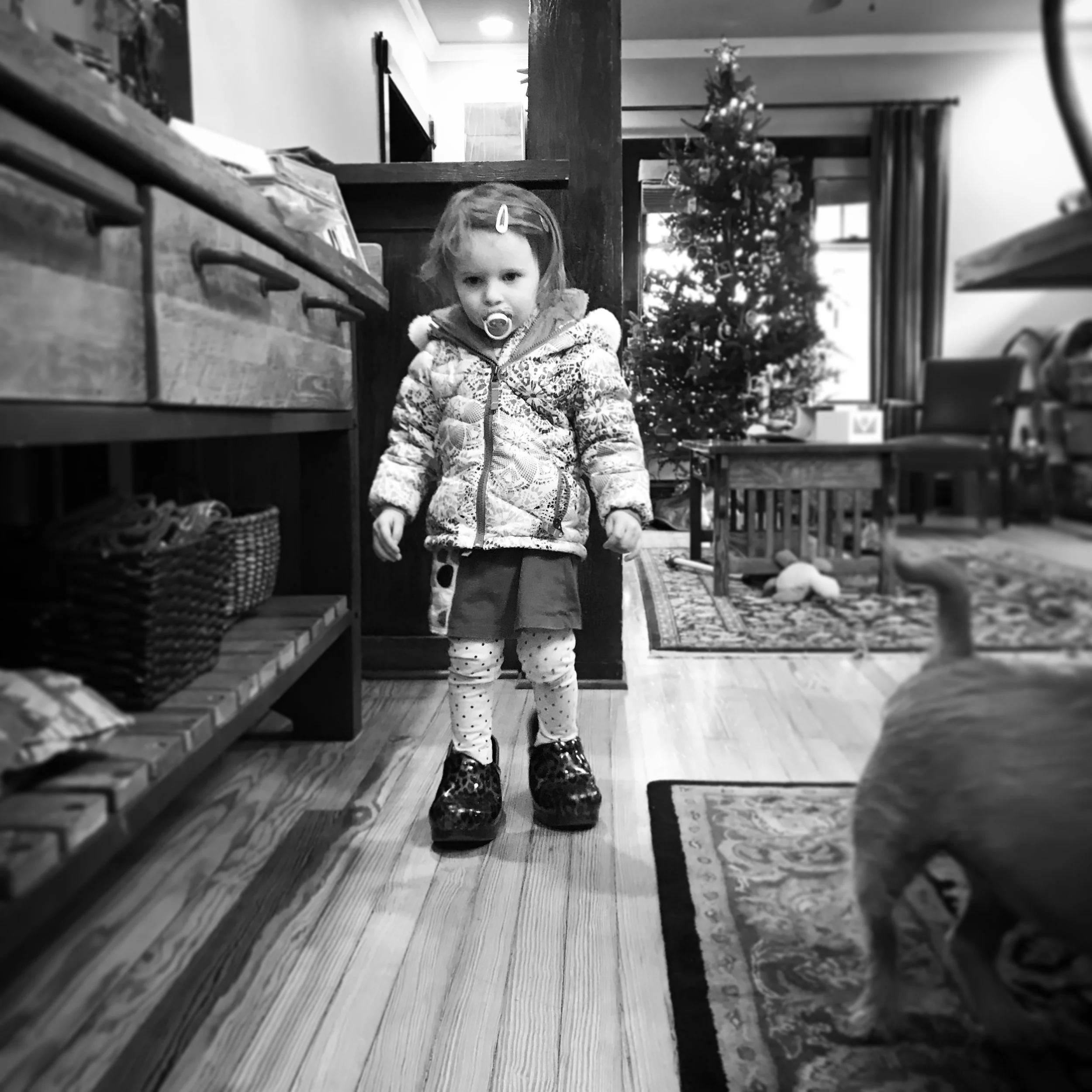   Lucy. In Mommy’s Shoes. 12-8-17.  