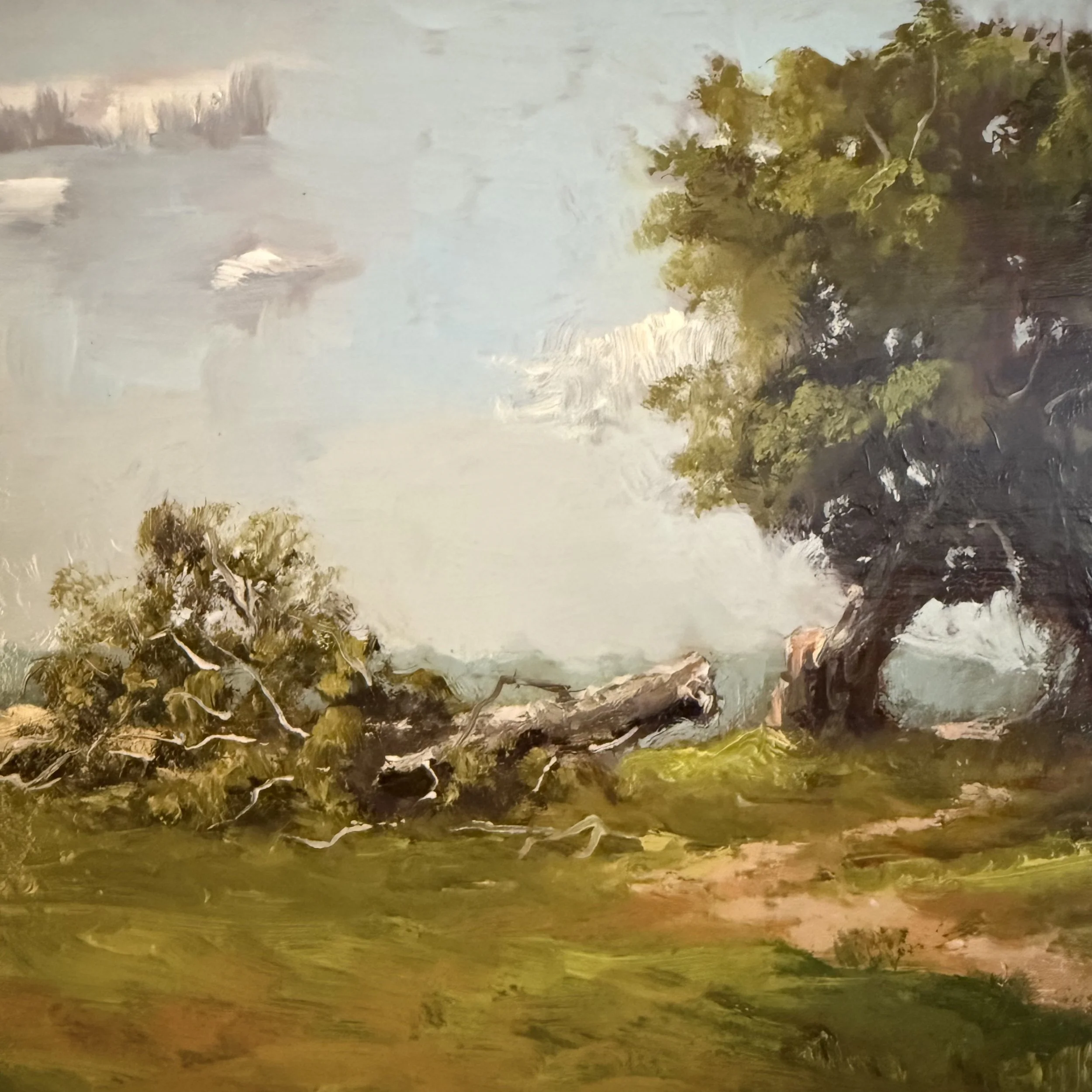 Gajan - Severed Tree 2.jpeg