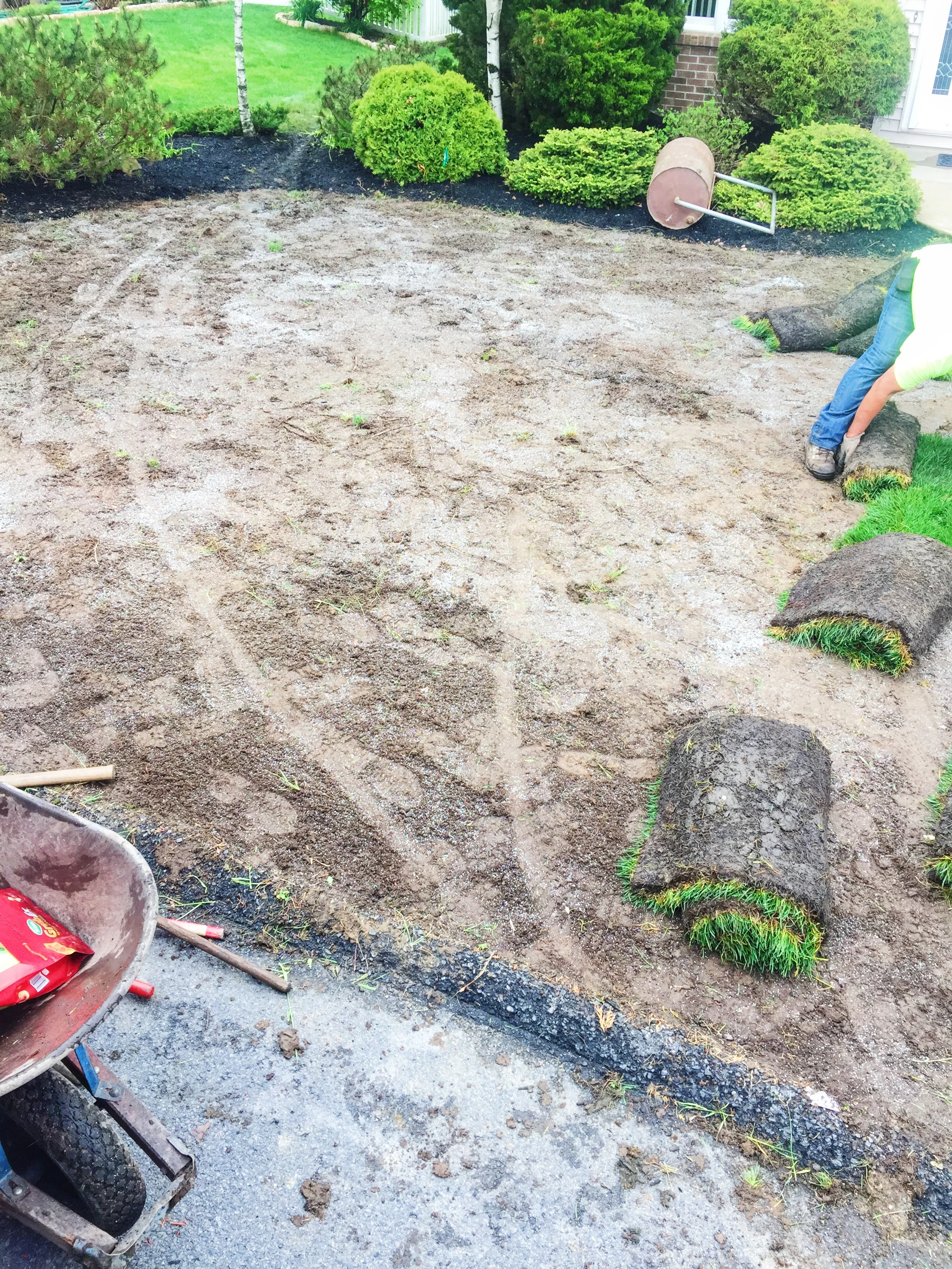 Sod Installation- Old Forge, PA