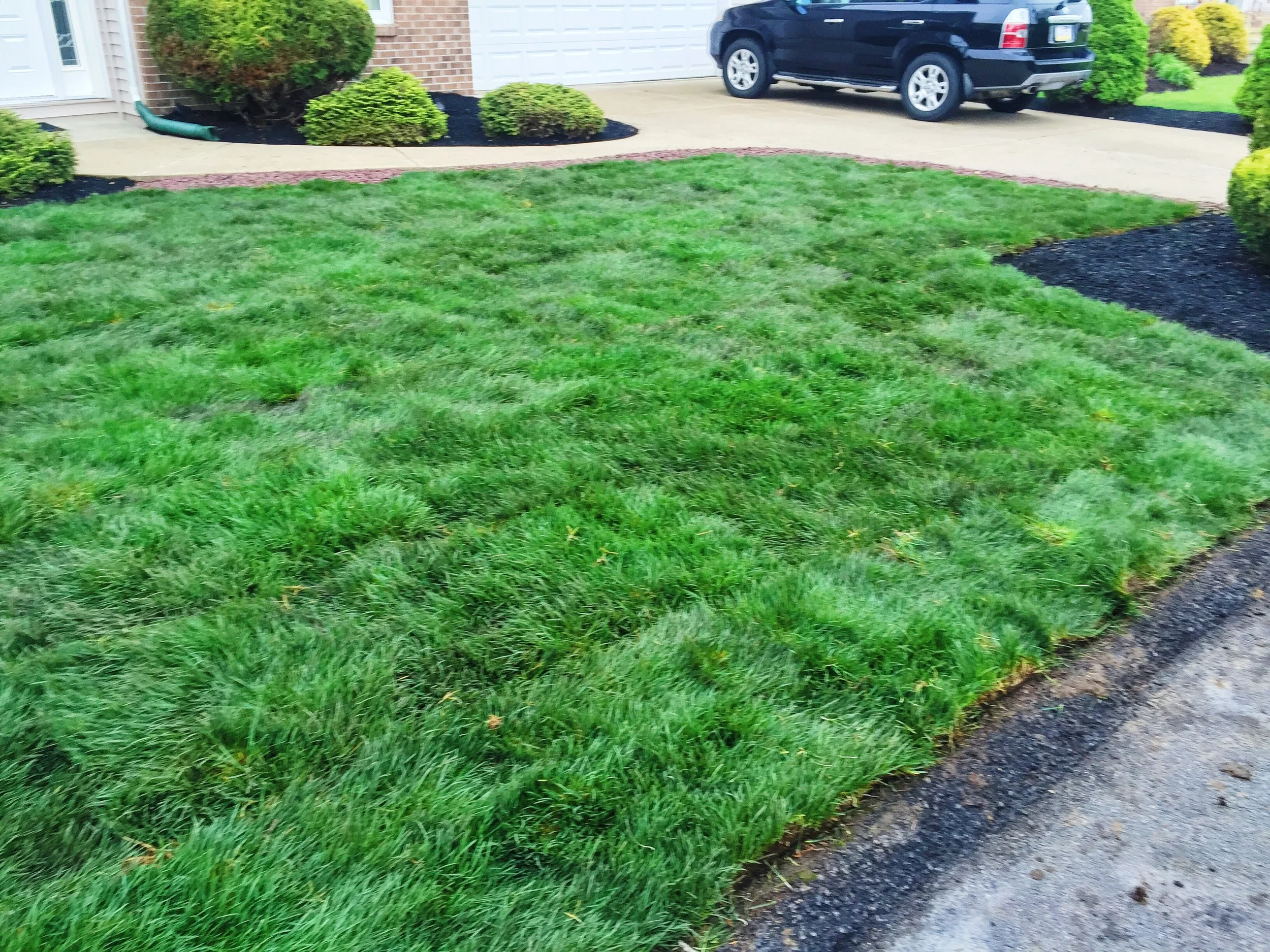 Sod Installation - Old Forge, PA