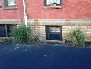 IMG_0596.jpg