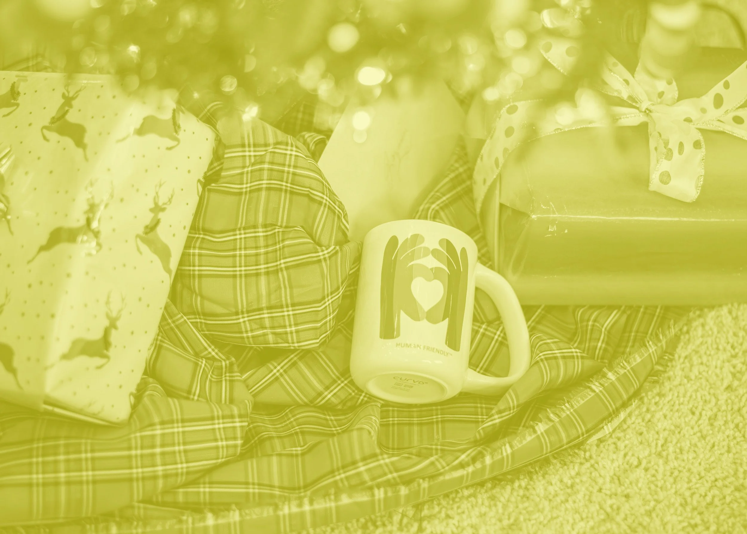 unsplash-image-JeLl5oUaV6c copy.jpg