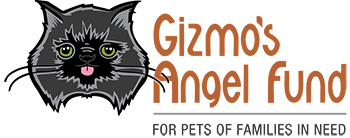Kind and compassionate veterinarian