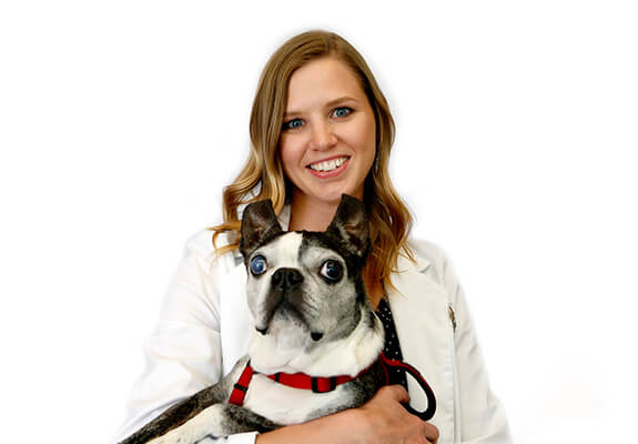 Dr. Emily Gregson — Aurora Animal Hospital