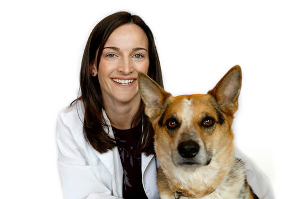 Dr. Caroline Rudolph, Medical Director — Aurora Animal Hospital