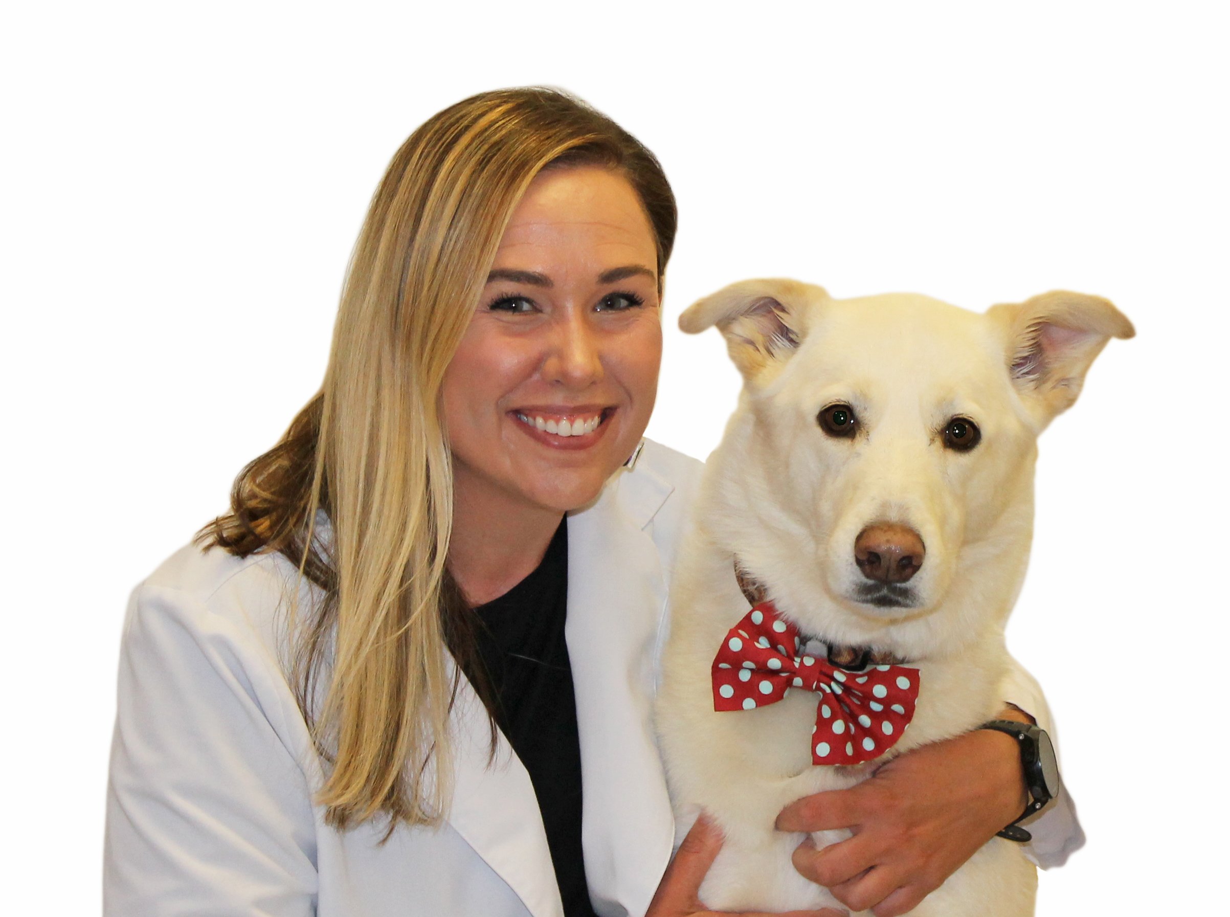 Dr. Kelli Kant — Aurora Animal Hospital