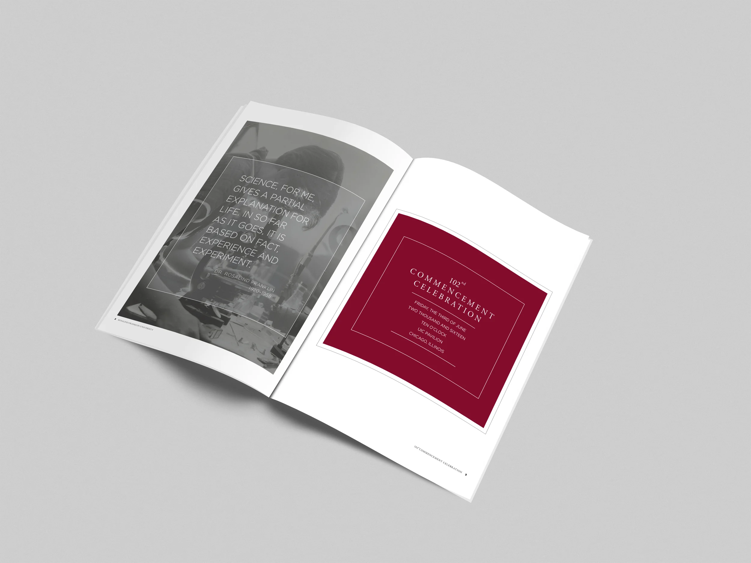 Perspective Spread Update.jpg