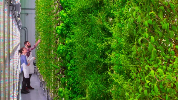 Jeff Bezos og flere andre store investorer investerte $200 mill i vertical farming startupen Plenty