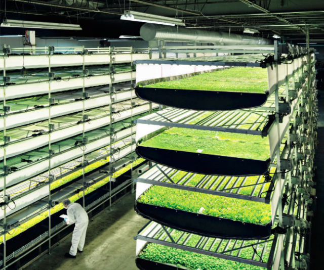 AeroFarms i Newark, New Jersey, skal være verdens største vertikale farm. De bruker ikke hydroponi, men aeroponi, som betyr at røttene sprayes med vann istedenfor å vokse rett i vannet