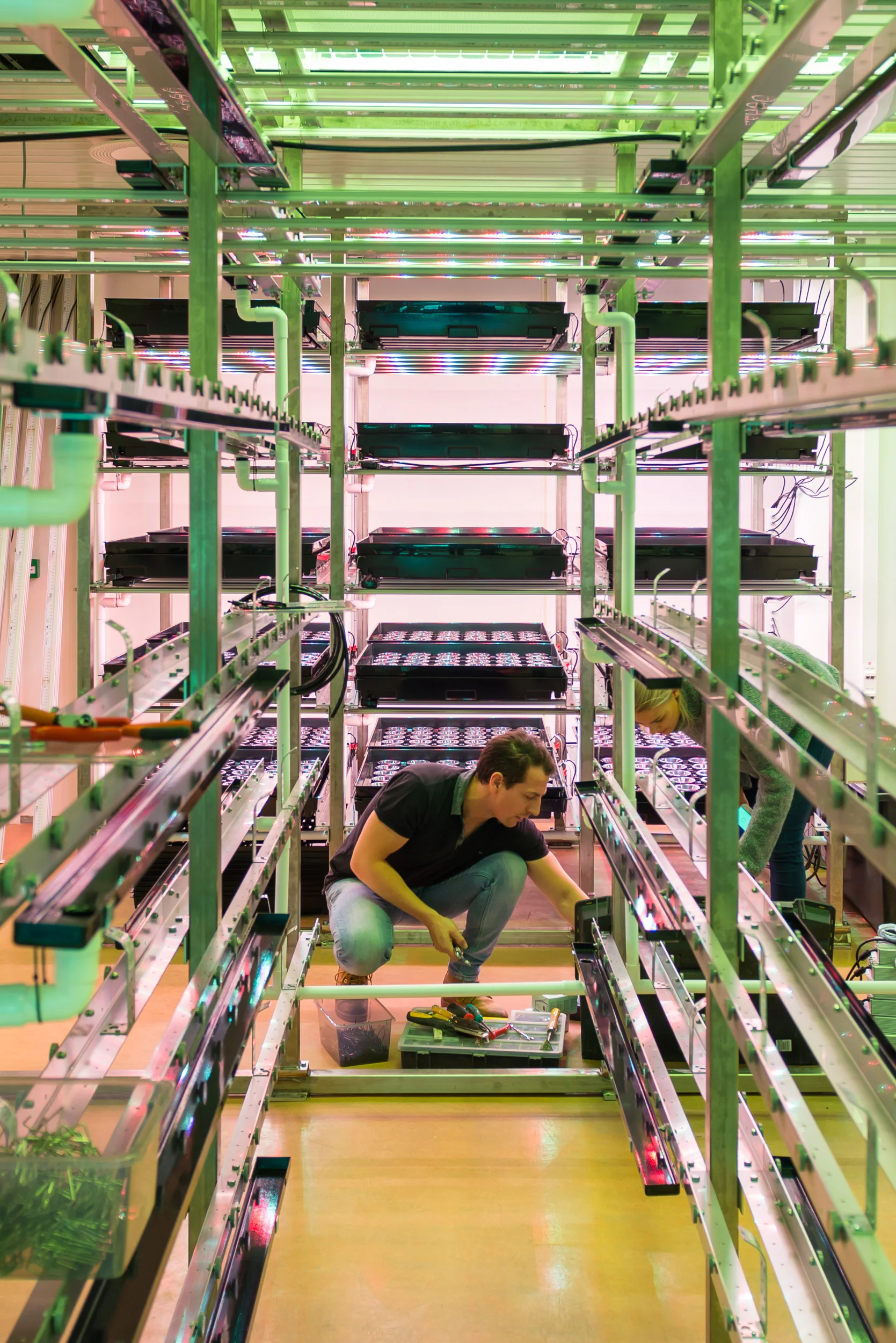 Det siste innen vertikal dykrningsteknologi og lys, her Dirk-Jan og Silje under installasjonen av systemene | Foto: Fornebu foto , Srdjan Popovic