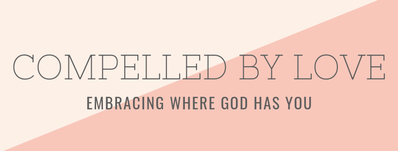 Fall Fundraiser - Email Header.png