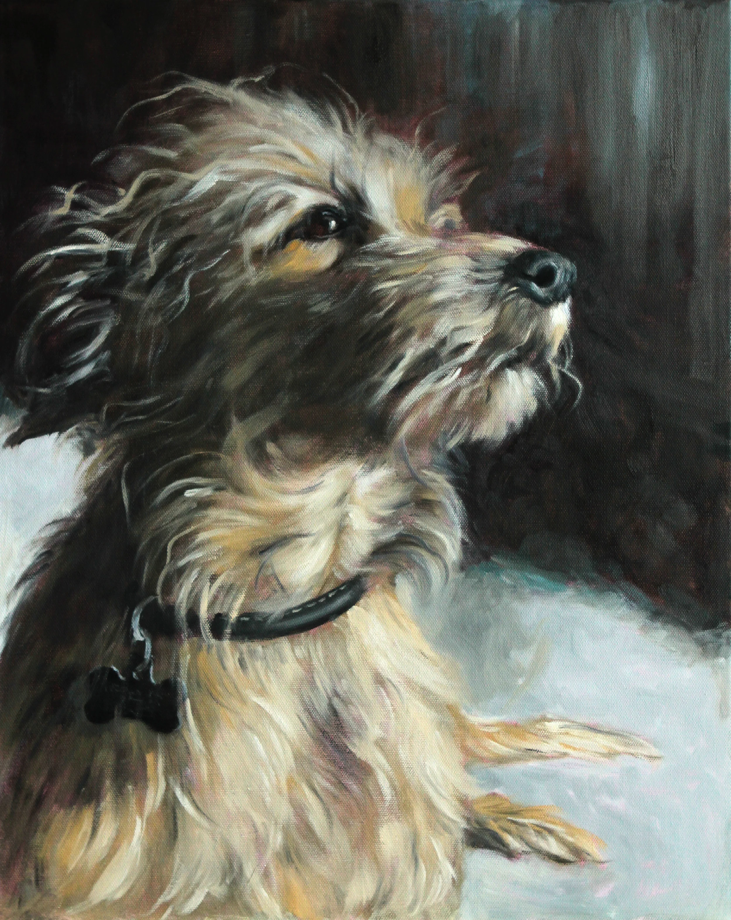 "Charlie", previous commission, oil on canvas, 16 in x 20 in.