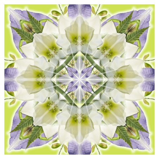 Amaryllis Yellow Purple Mandala.jpg