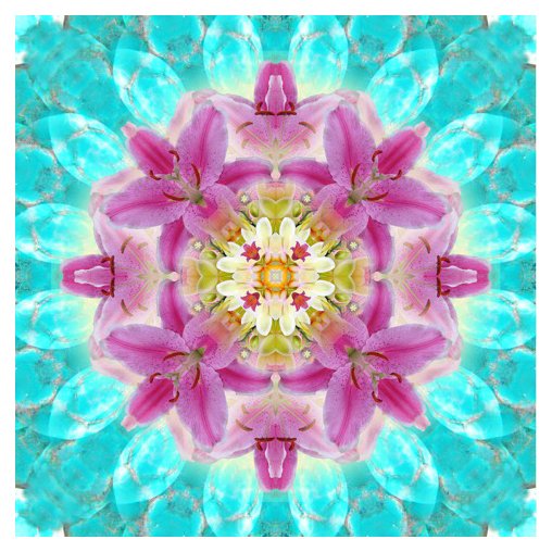 Lilium rosa+turquoise II.jpg