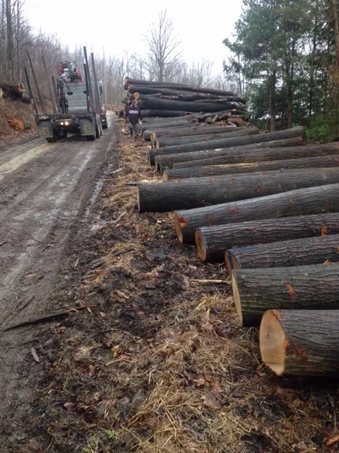 logtruck2.JPG
