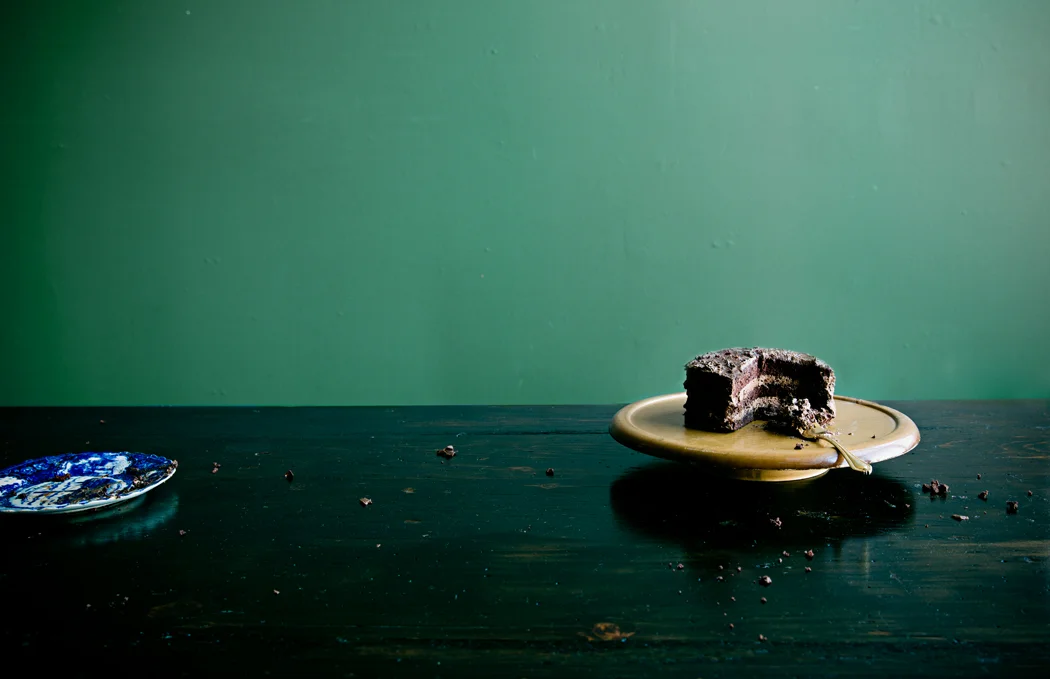 original He Never Liked Cake book jacket photo by: Meghan McNeer