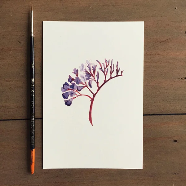 flower.jpg