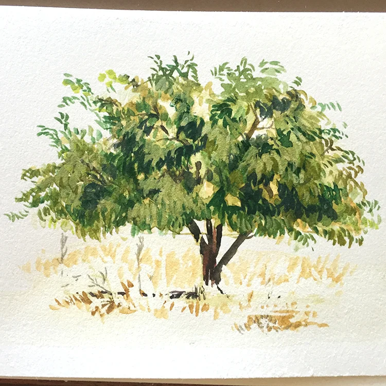 greece-citrus.jpg