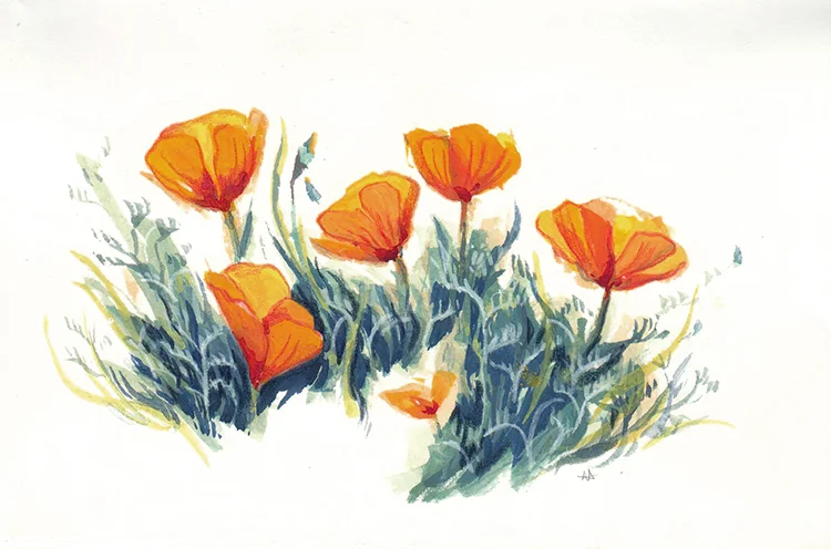 scan-poppies.jpg