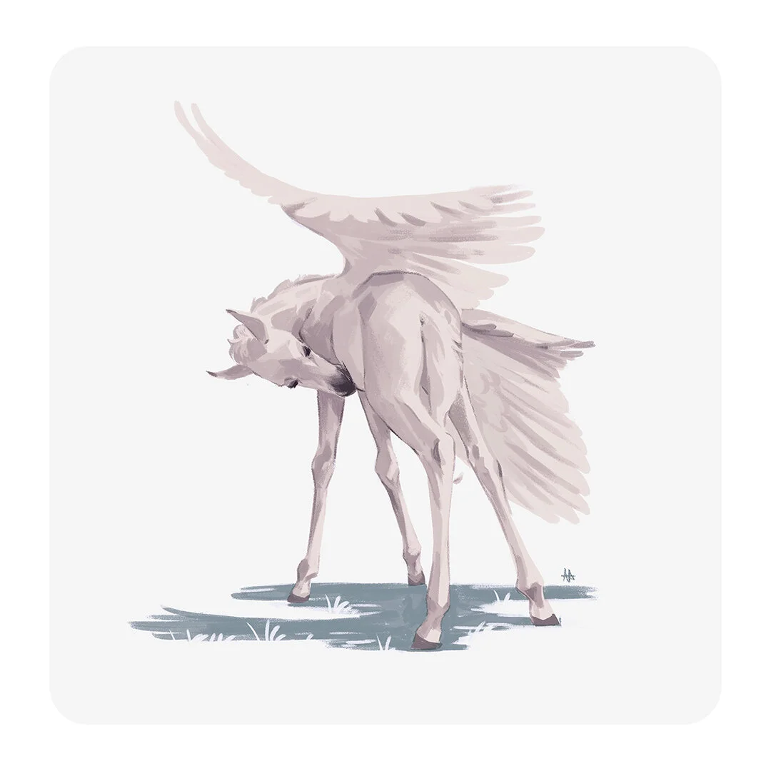 foal-pegasus.jpg