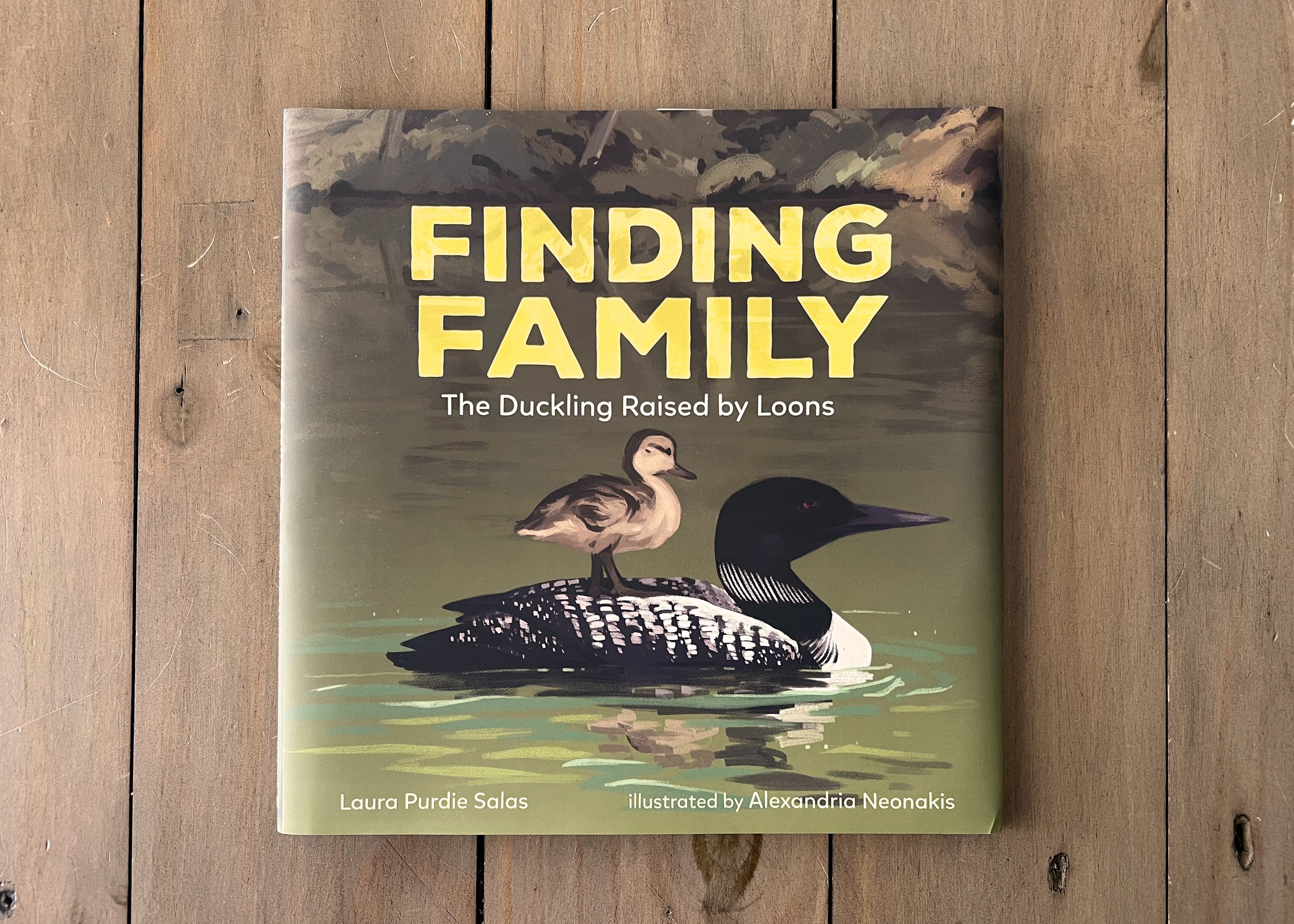 bookcovers-findingfamily.jpg