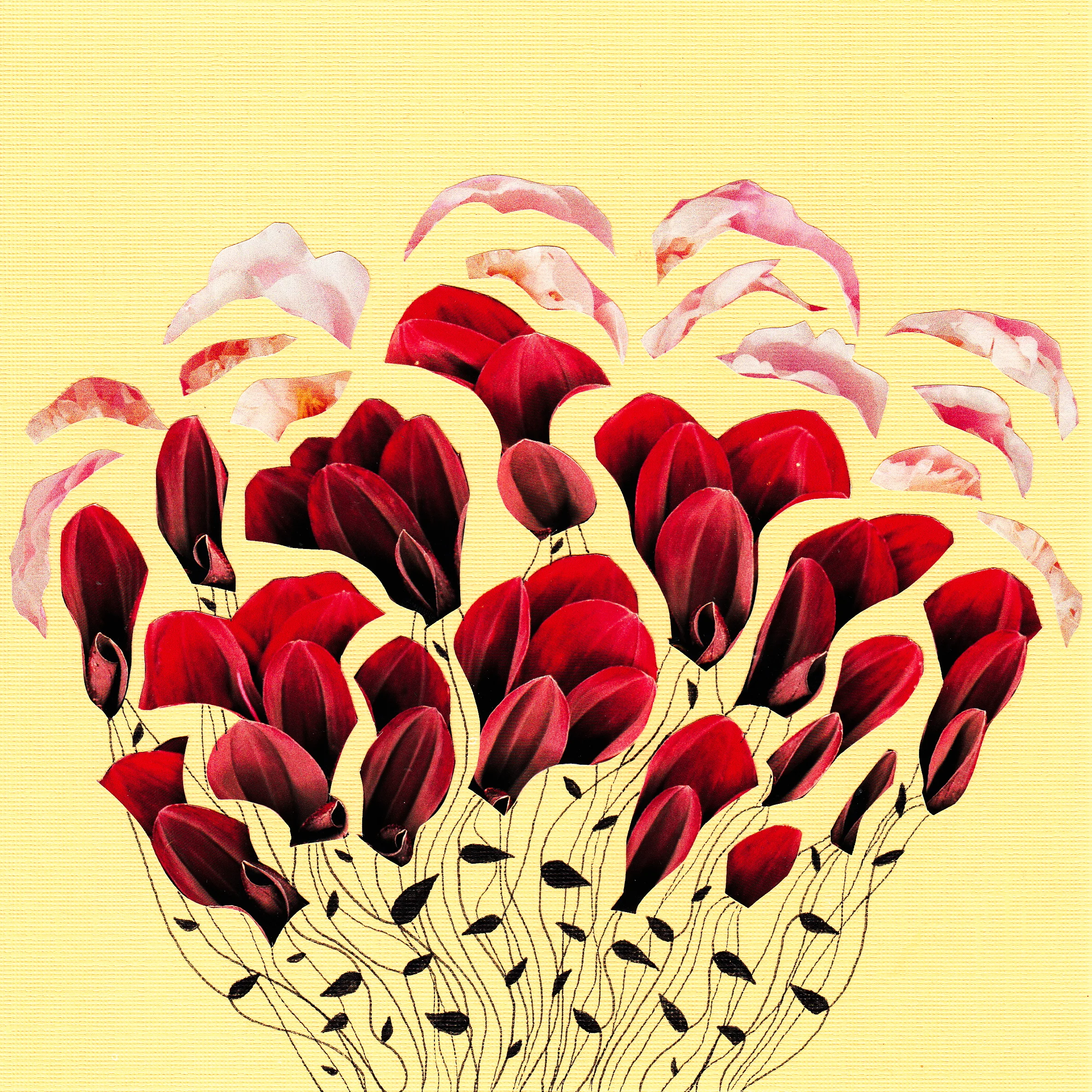 flowers-Edit-2.jpg