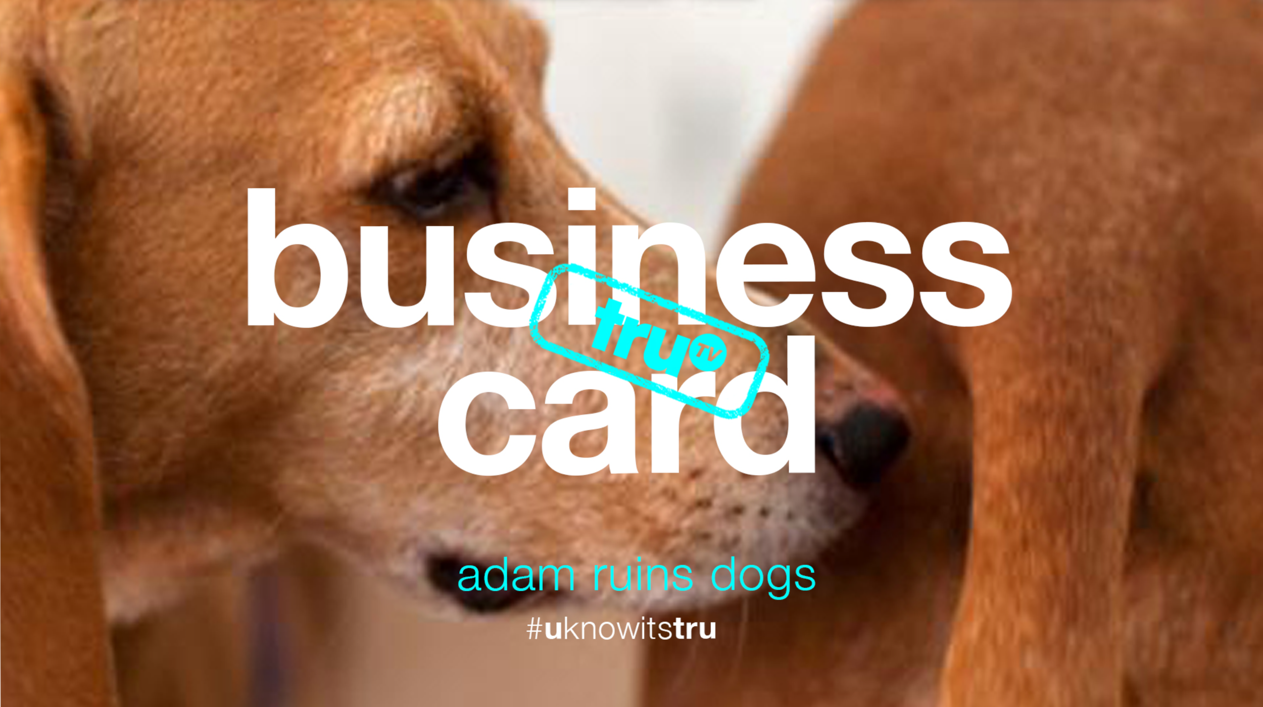 Screen Shot 2019-04-01 at 8.06.47 PM copy.png