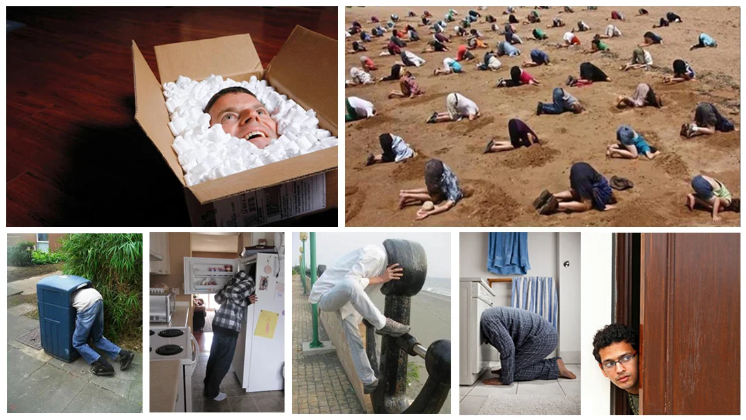 what if image_SEARCH_2.jpg