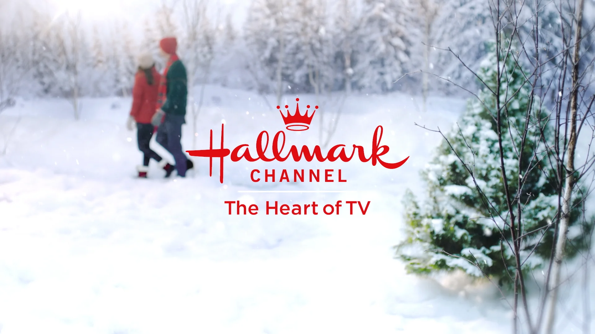 HC_MoodBite_Reel_2019_v002