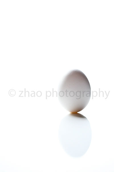 EADIM-63-Deg-Egg-5