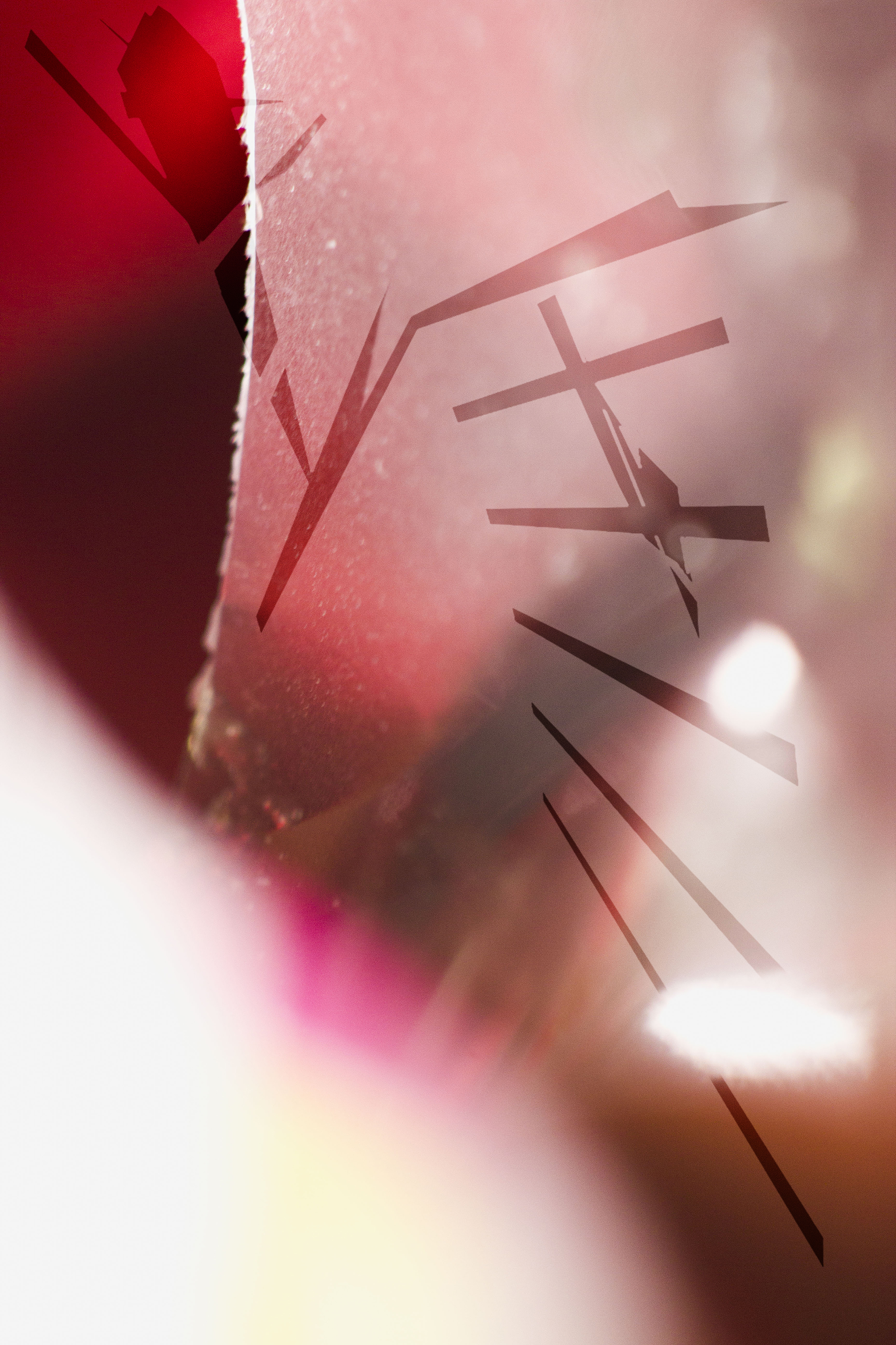 _MG_9317.jpg