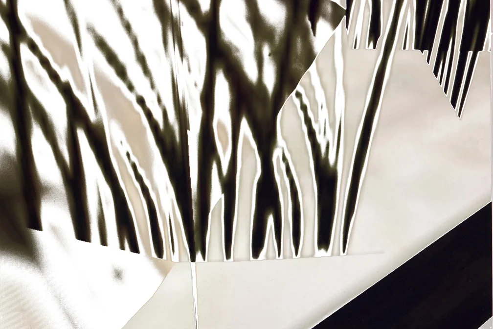 Blanchard_Leigh_6307433114_#2_web.jpg