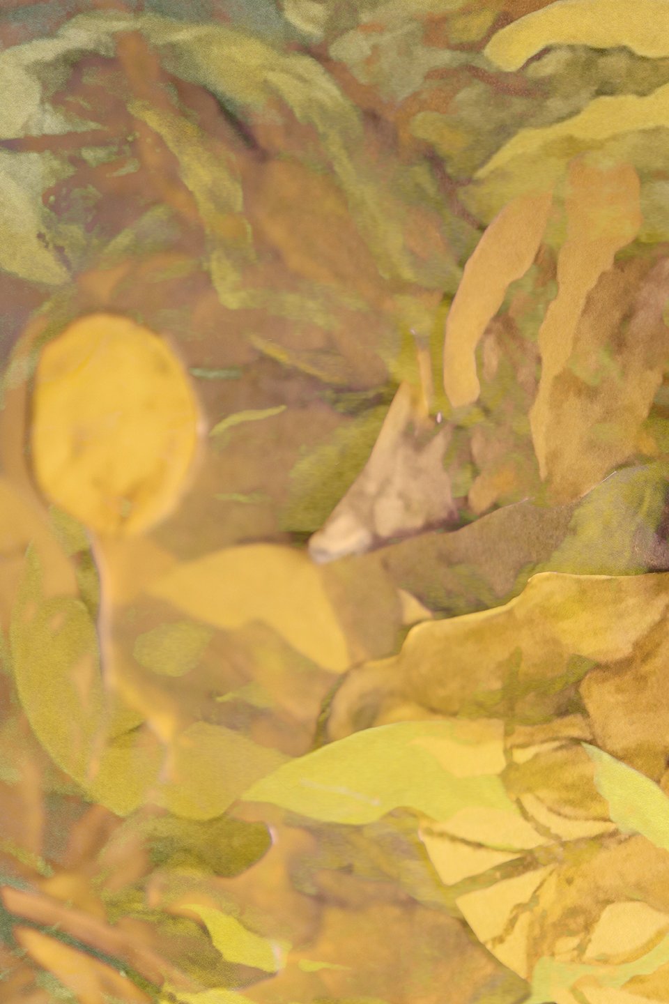 Leaves_screen_2_72dpi.jpg