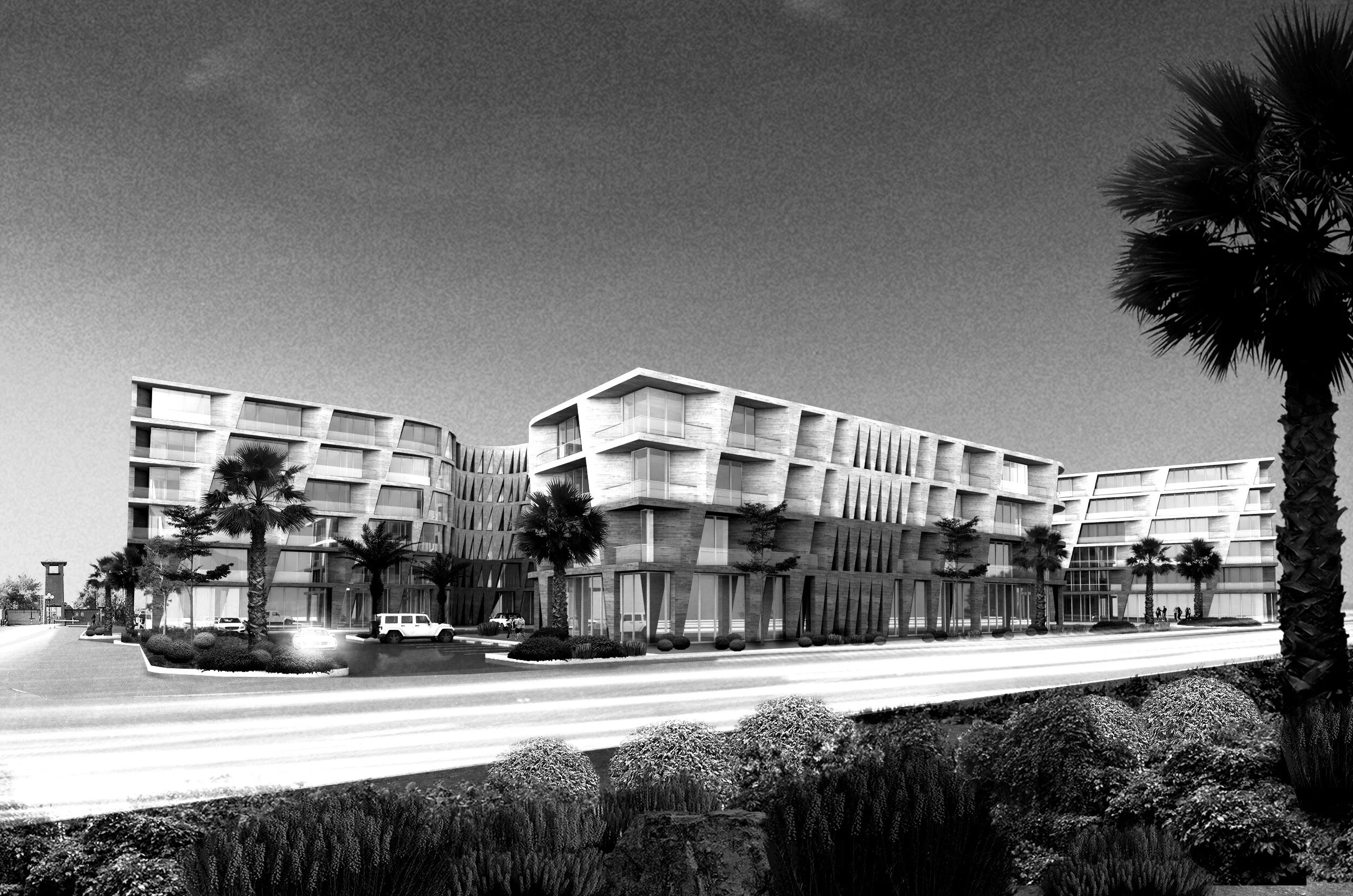 TTP CAM04 copy BNW.jpg