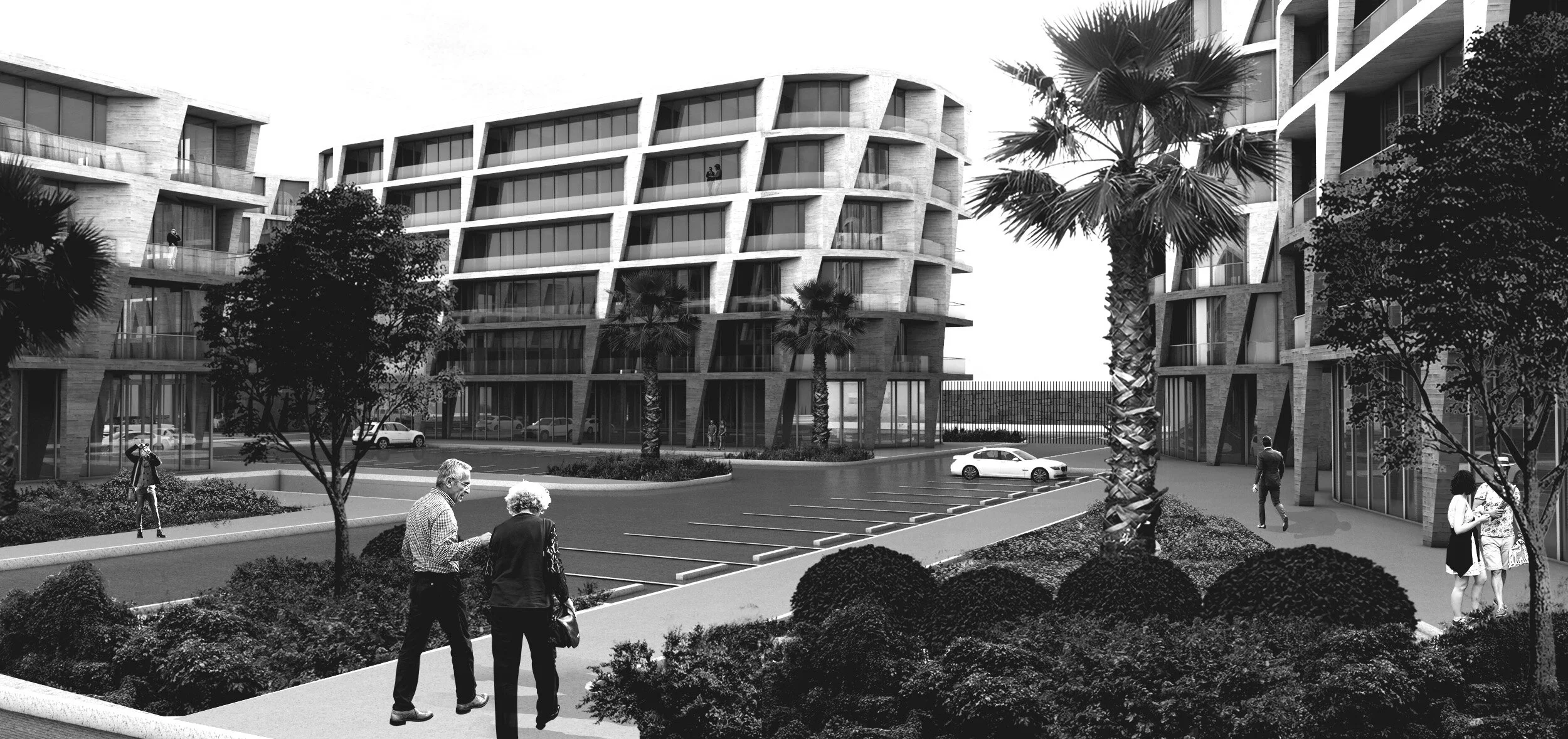 TTP CAM08 copy BNW.jpg