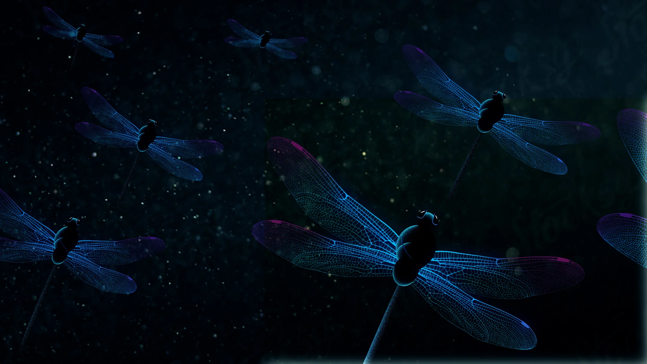 Rough design of a fleet of dragonflies.