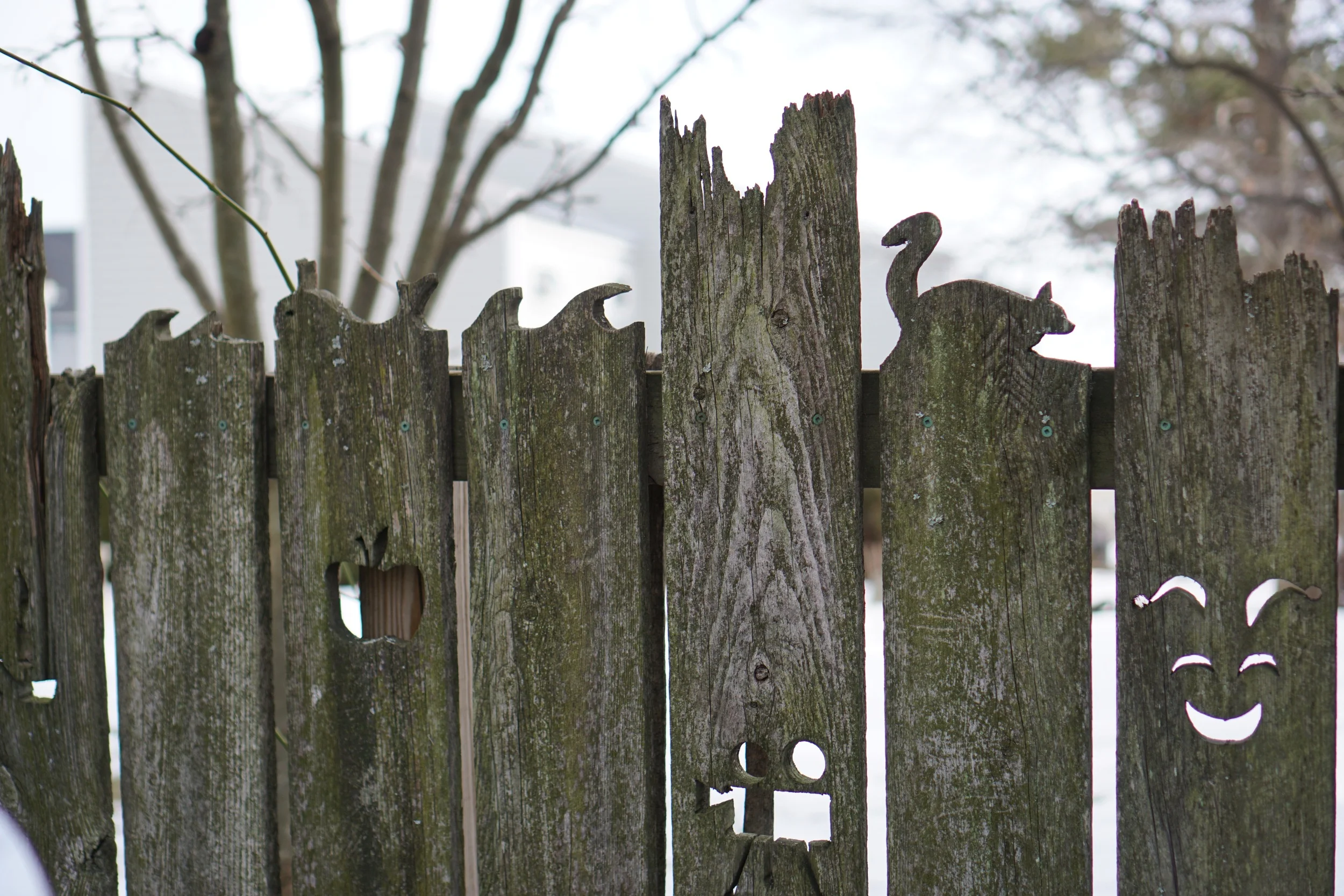 Monument St. Fence Art