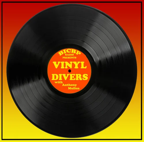 VinylDiversArt.jpg