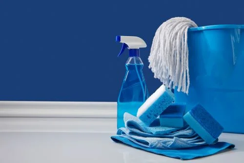 Cleaning Edited.jpg