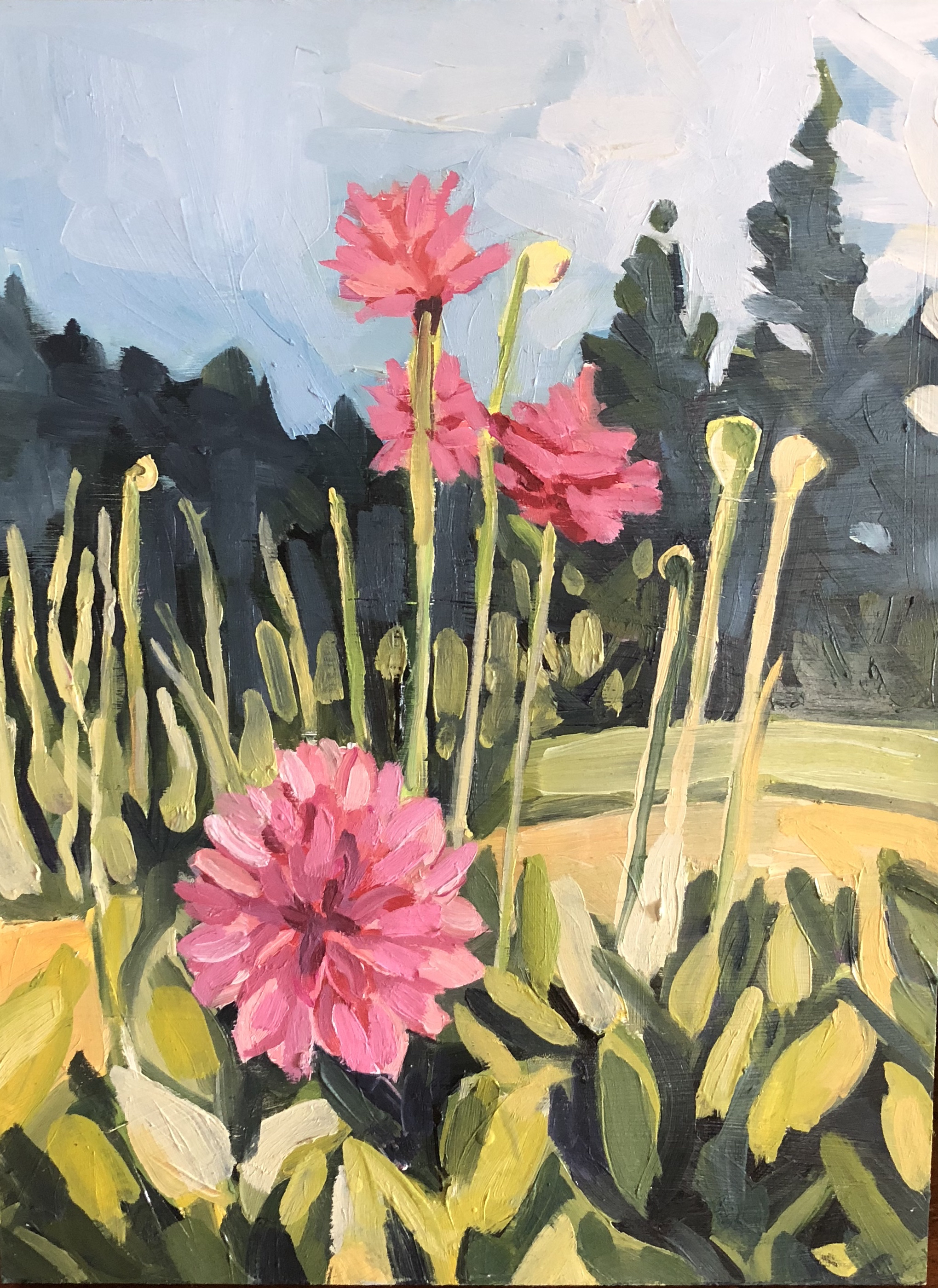 Elly's Dahlias, Oil on Panel, 8"x10"