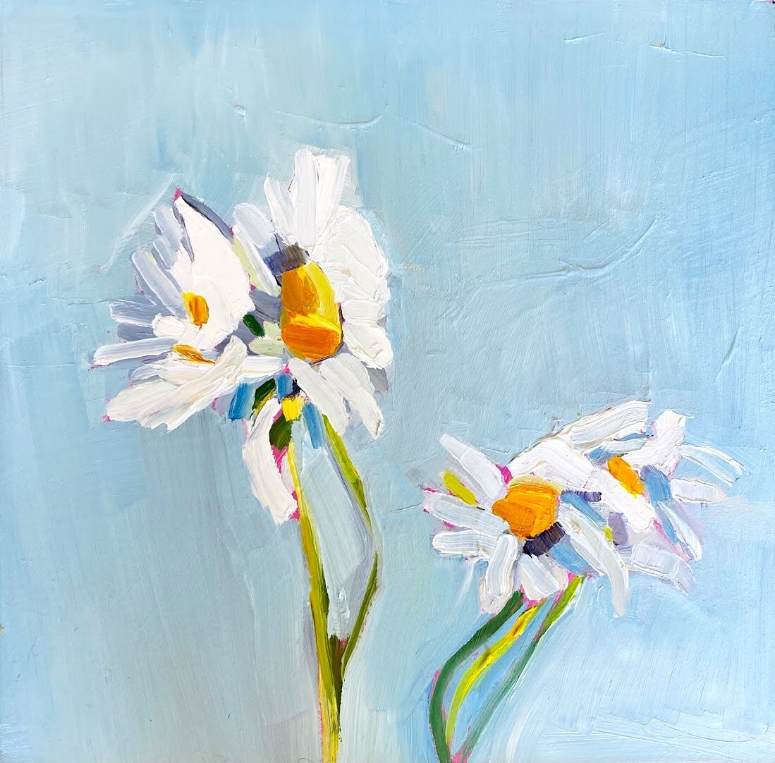 Daisies- Study