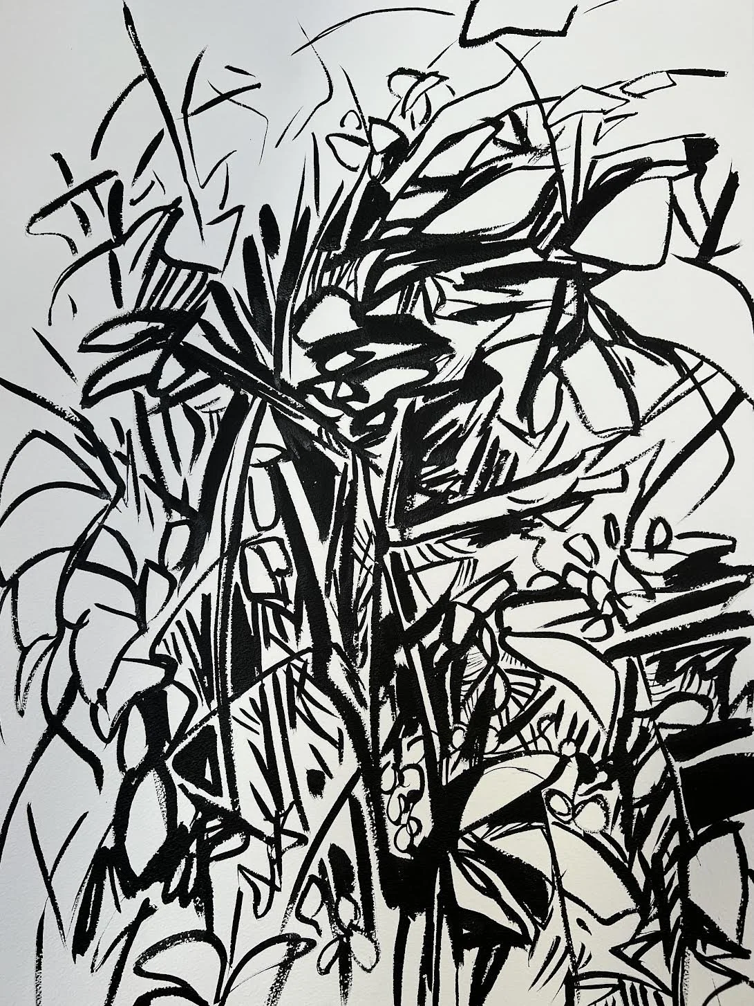 Forest Shapes I, Ink on Paper, 30"x22" (Copy)