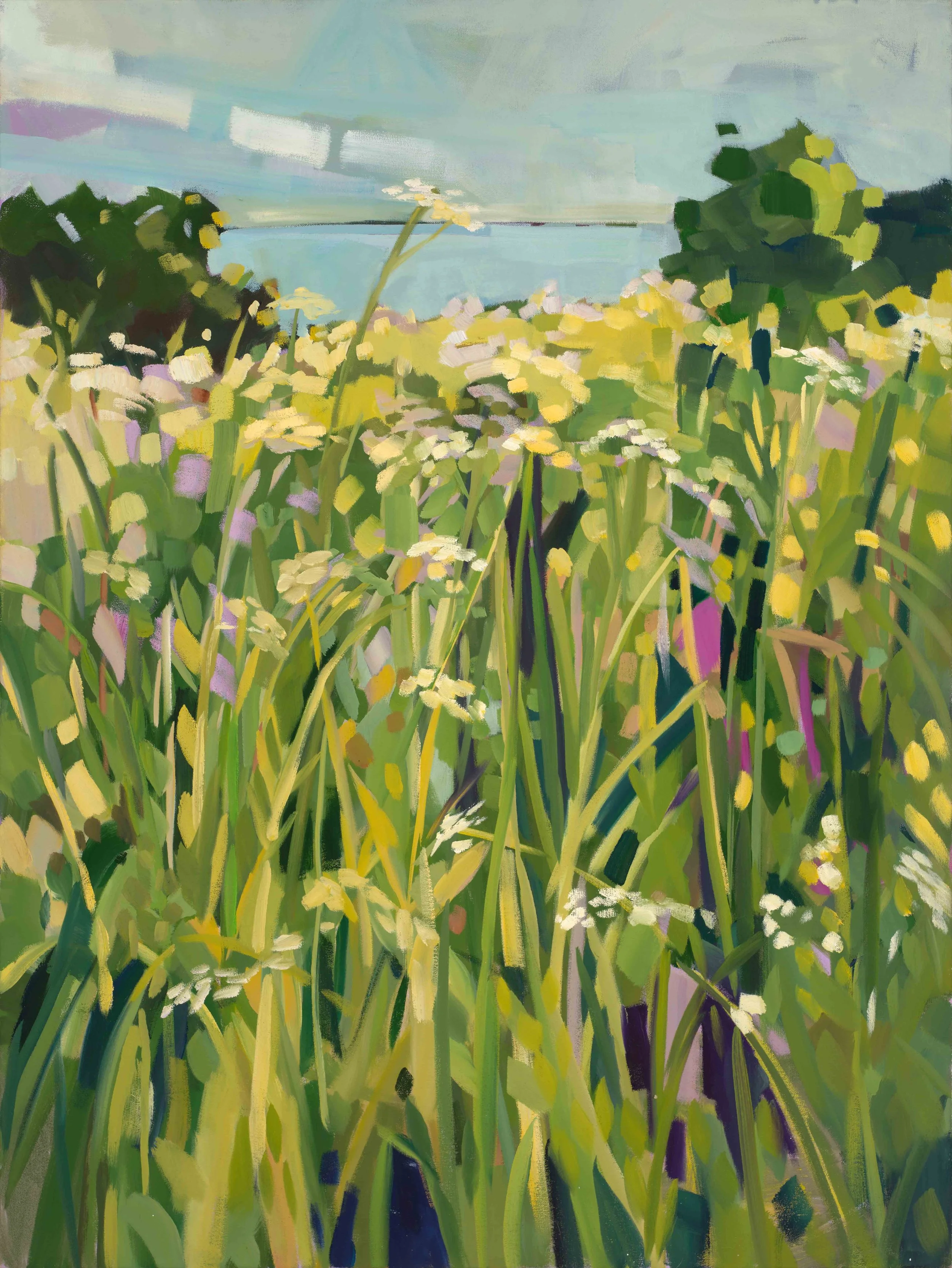 Wild Carrot Wander.jpeg