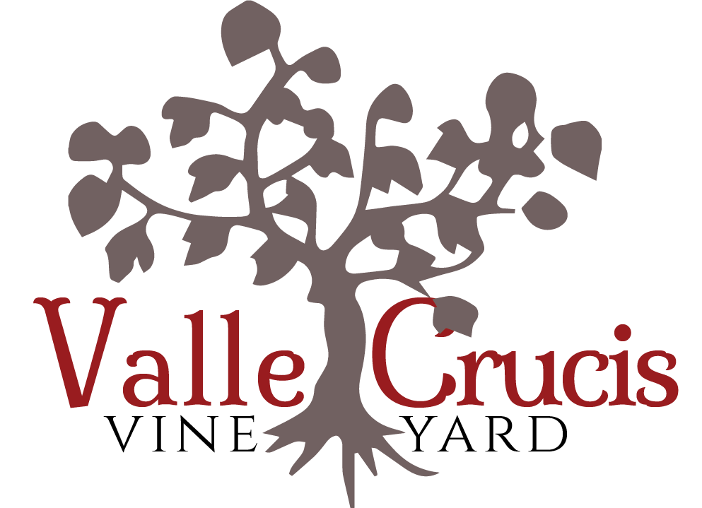 Valle Crucis Vineyard