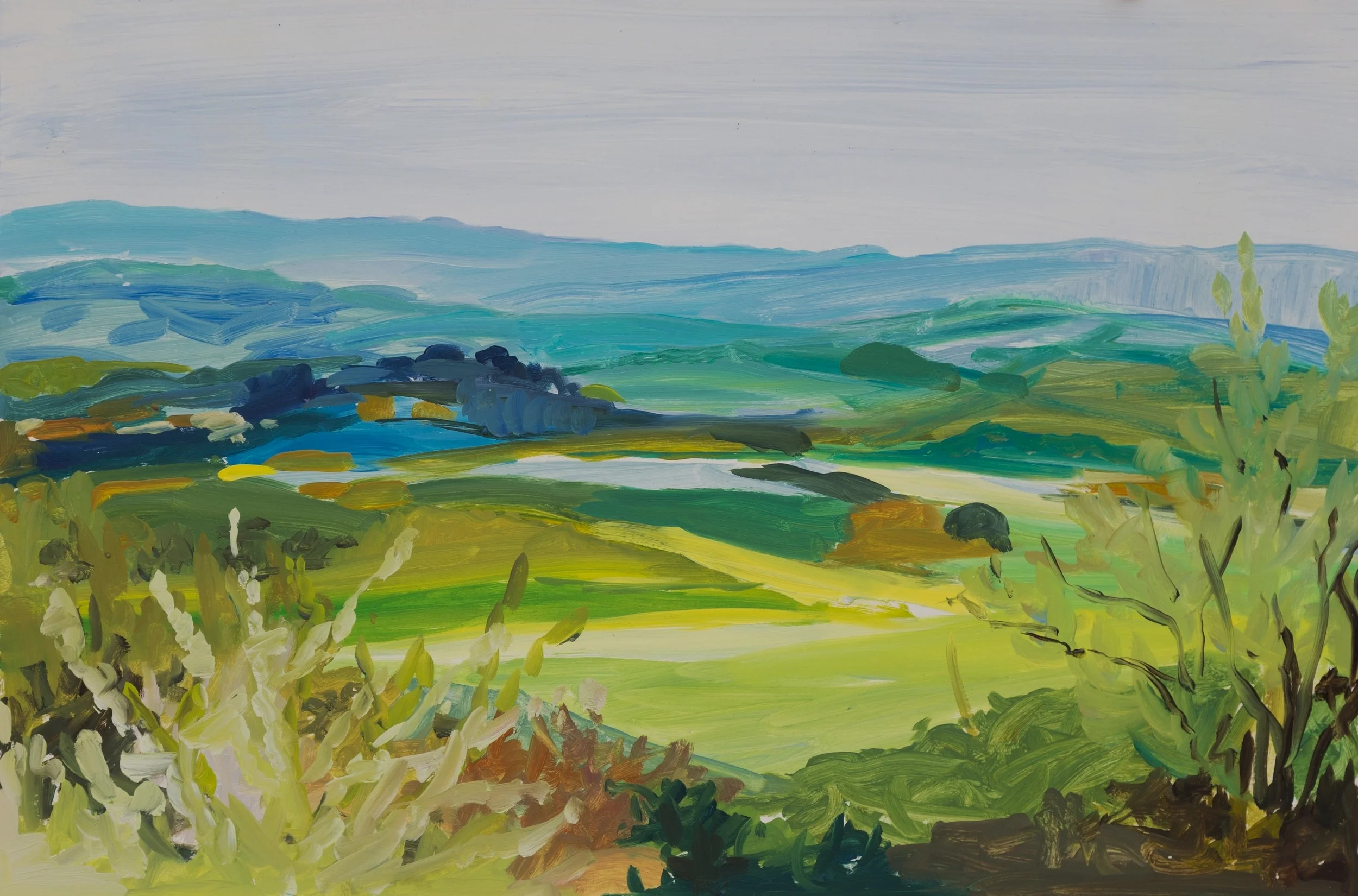 Volterra Study