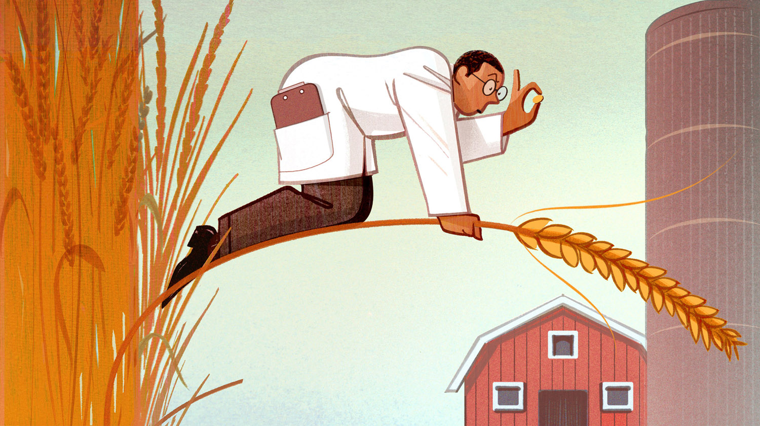 wheat.jpg