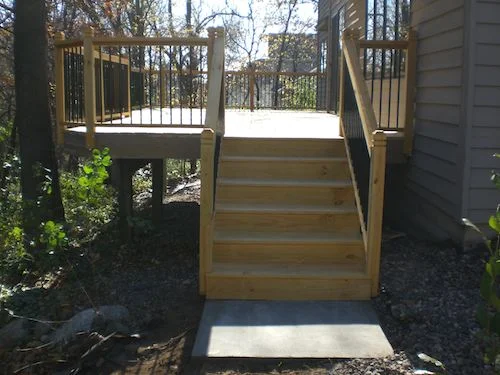 Up in the Trees in Apple Valley