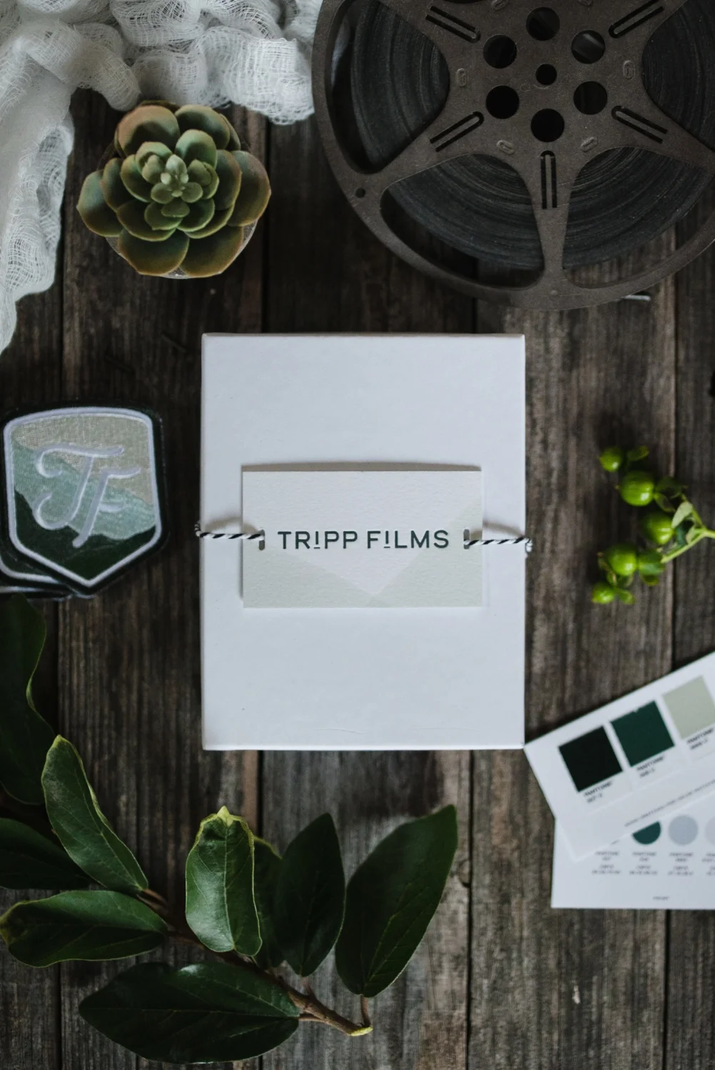 Tripp Films_Rebrand_Nature.jpg