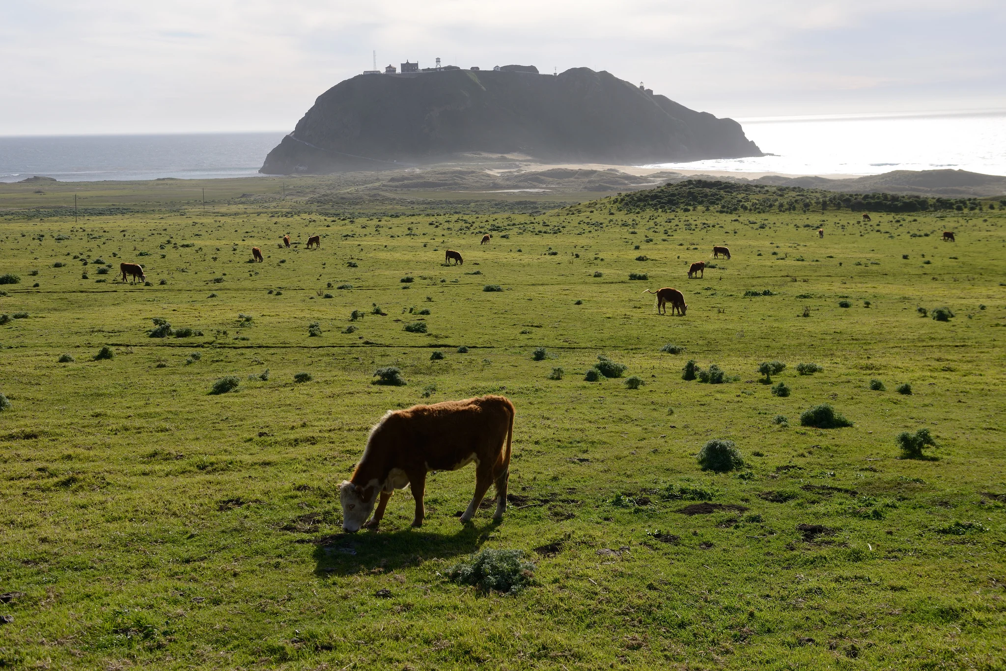 Central Coast | California | United States
