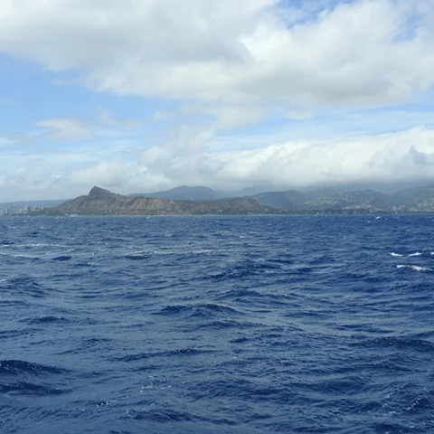 DSCN1216.jpg